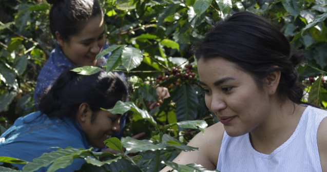 Strauss Coffee anunta un nou proiect prin care isi doreste sa sustina, la nivel global, femeile care cultiva cafea