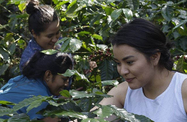 Strauss Coffee anunta un nou proiect prin care isi doreste sa sustina, la nivel global, femeile care cultiva cafea