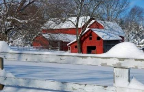 ANM: Vom avea parte de o iarna blanda