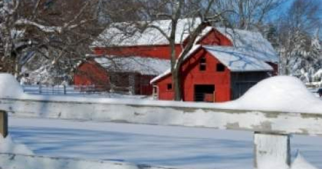 ANM: Vom avea parte de o iarna blanda
