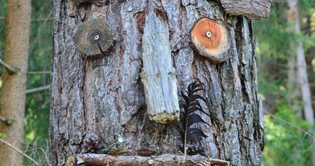  Top  Top 10 fotografii BIZARE care iti vor da de gandit