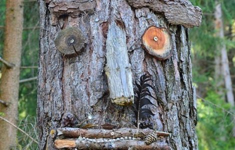  Top  Top 10 fotografii BIZARE care iti vor da de gandit