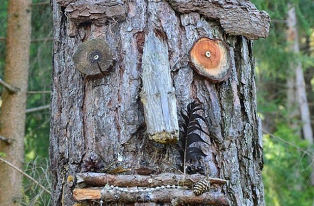 Top 10 fotografii BIZARE care iti vor da de gandit