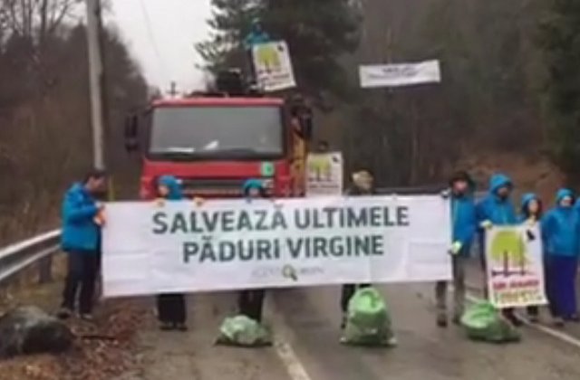 Camioane cu lemne oprite in Muntii Fagaras de activisti pentru mediu
