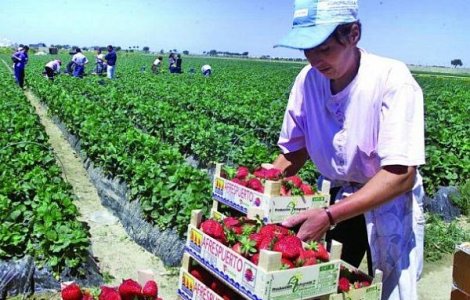 5.000 de femei, majoritatea romance, supuse la munca fortata