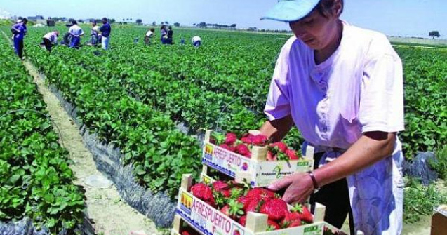 5.000 de femei, majoritatea romance, supuse la munca fortata
