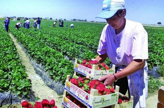 5.000 de femei, majoritatea romance, supuse la munca fortata si agresiuni sexuale de catre angajatori, in sudul Italiei