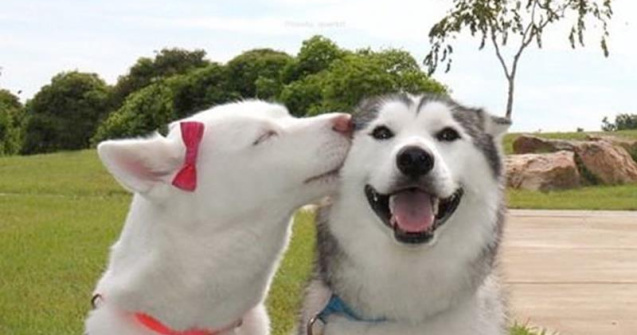  Top  10 fotografii care te vor face sa zambesti