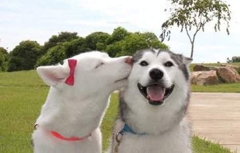  Top  10 fotografii care te vor face sa zambesti