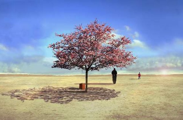 22 de lucruri inedite despre fiinta umana!