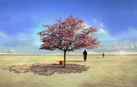 22 de lucruri inedite despre fiinta umana!