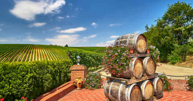 Vinul romanesc revine la putere si castiga teren in fata marilor producatori mondiali