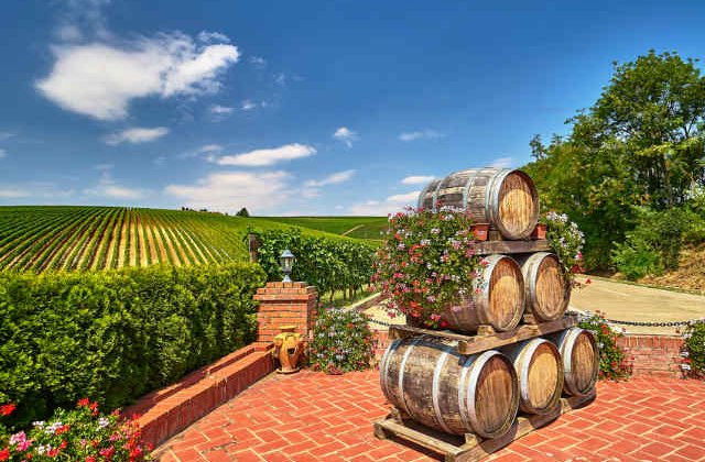 Vinul romanesc revine la putere si castiga teren in fata marilor producatori mondiali