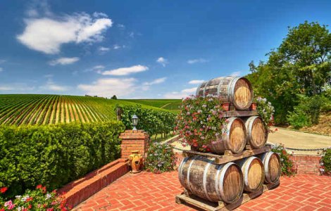 Vinul romanesc revine la putere si castiga teren in fata marilor producatori mondiali