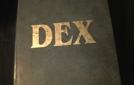 Elevi pacaliti de dexonline.ro. S-a schimbat sensul a doua cuvinte date la simulare