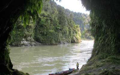 VIDEO. Noua Zeelanda: Un...