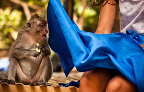  Top  6 poze inedite suprinse exact la momentul potrivit