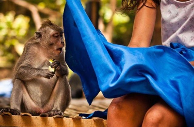 6 poze inedite suprinse exact la momentul potrivit