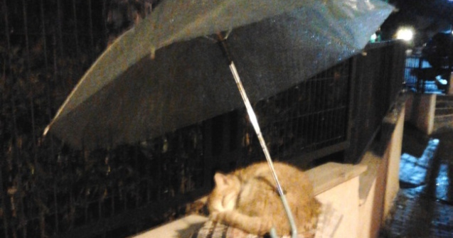  Top  9 imagini emotionante care te vor face sa-ti recapeti increderea in oameni