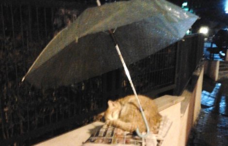  Top  9 imagini emotionante care te vor face sa-ti recapeti increderea in oameni