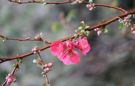  Video  Baie in mare la mijlocul lui noiembrie