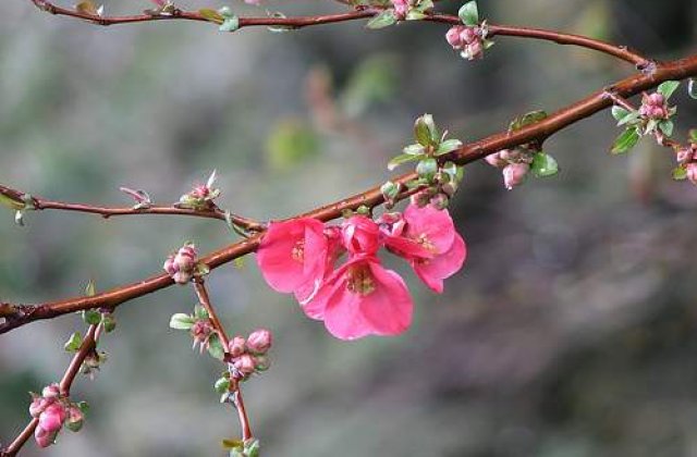 [VIDEO] Baie in mare la mijlocul lui noiembrie
