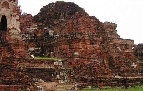 Peste 340 de fetusi decoperiti intr-un templu din Thailanda