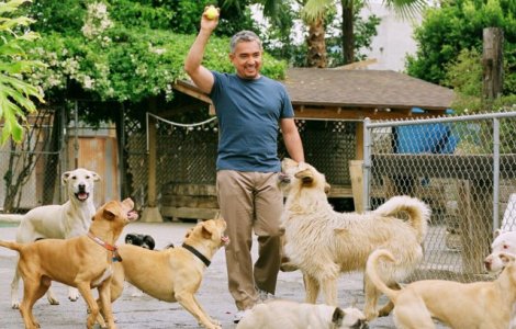 Cesar Millan, celebrul antrenor de caini, a ajuns in Romania