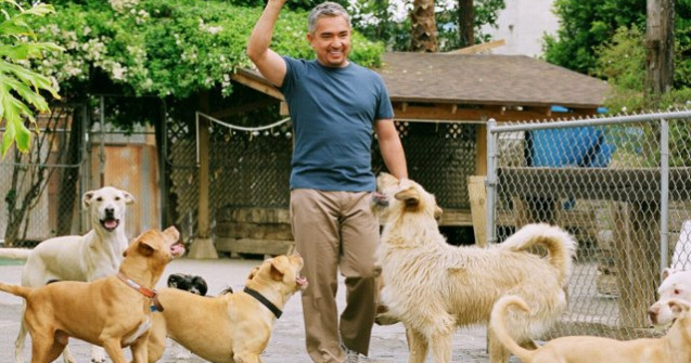 Cesar Millan, celebrul antrenor de caini, a ajuns in Romania