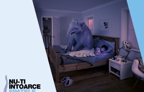 Taxify ofera curse gratuite bucurestenilor maine, 22 martie