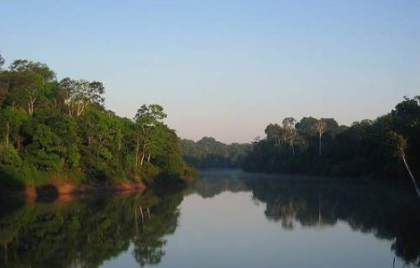 Inotatorul Darko Novovic a coborat 5.450 de km pe Amazon