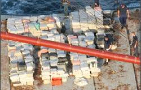 Peste 500 de kilograme de cocaina, confiscate in portul Rotterdam