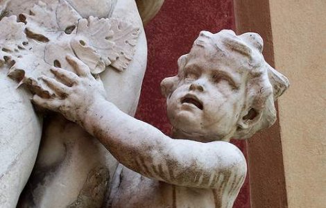 Colectia unui "bunicut": 3 mil. de fotografi pornografice cu minori