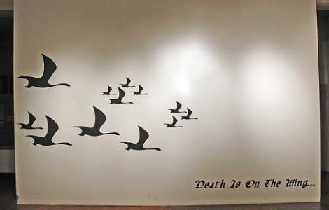 Primul caz de gripa aviara depistat in Hong Kong din 2003