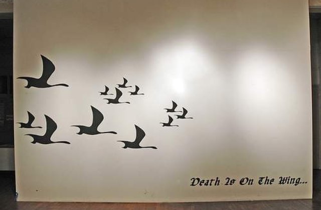 Primul caz de gripa aviara depistat in Hong Kong din 2003