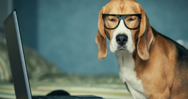  Top  8 meme-uri amuzante despre munca in care te vei regasi