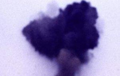 15 mari pericole care pot distruge omenirea