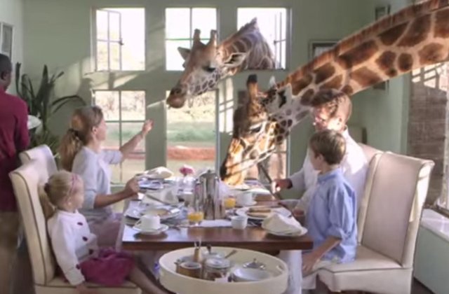 [Video] Hotelul in care oaspetii pot lua micul dejun cu... girafele