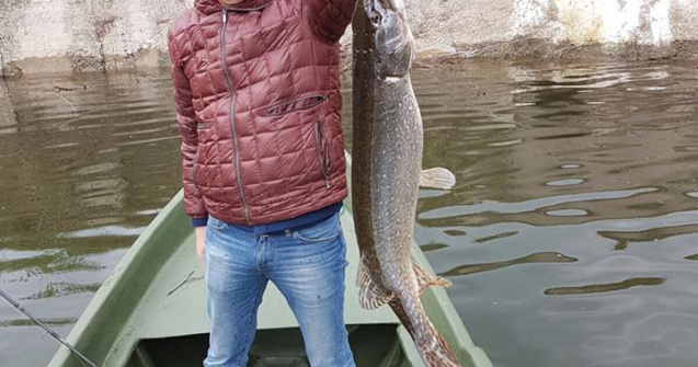 Grindeanu: S-a trecut de la numarat oua la numarat stiuci