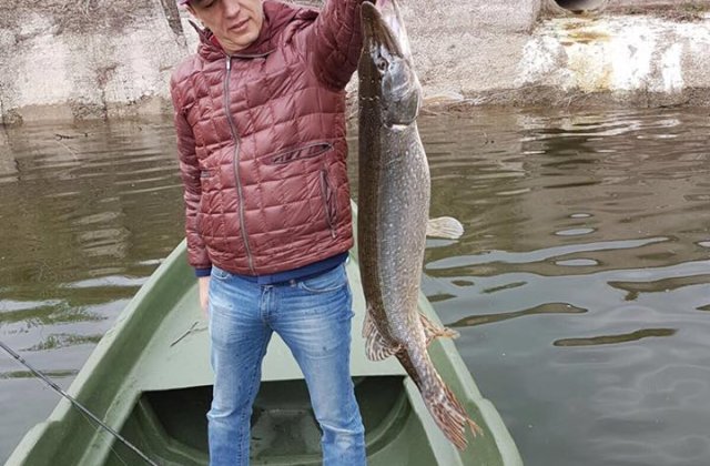 Grindeanu: S-a trecut de la numarat oua la numarat stiuci