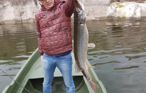 Grindeanu: S-a trecut de la numarat oua la numarat stiuci