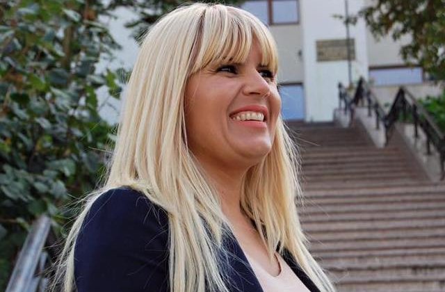 Elena Udrea: Sentinta din dosarul Gala Bute e un abuz, o mascarada