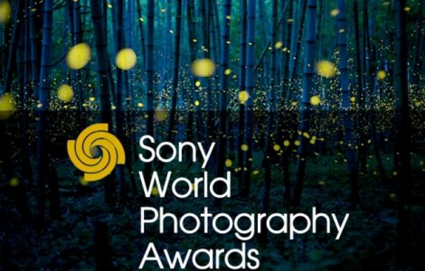  Top  Fotografiile castigatoare de la Sony World Photography Awards 2017