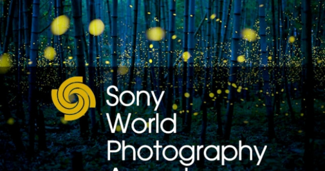  Top  Fotografiile castigatoare de la Sony World Photography Awards 2017
