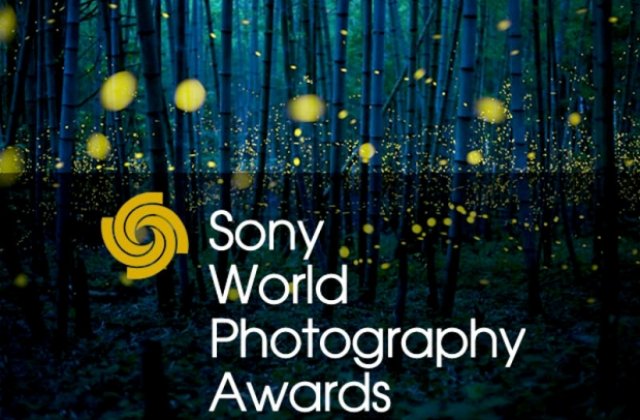 Fotografiile castigatoare de la Sony World Photography Awards 2017