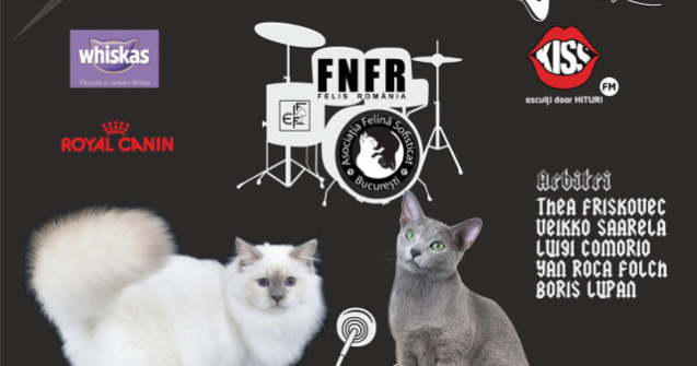 Expozitia Felina Internationala de Primavara SofistiCAT - SofistiCAT Rock