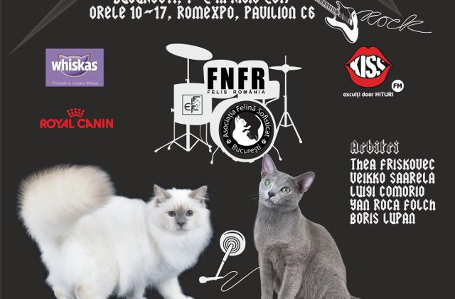 Expozitia Felina Internationala de Primavara SofistiCAT - SofistiCAT Rock