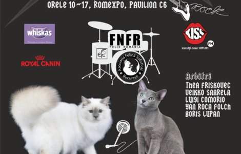 Expozitia Felina Internationala de Primavara SofistiCAT - SofistiCAT Rock