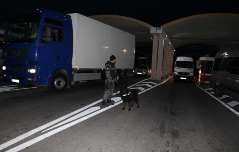 Razie de amploare a autoritatilor in Giurgiu, tone de carne pentru pia