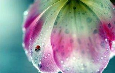 Imagini superbe Rain Photography